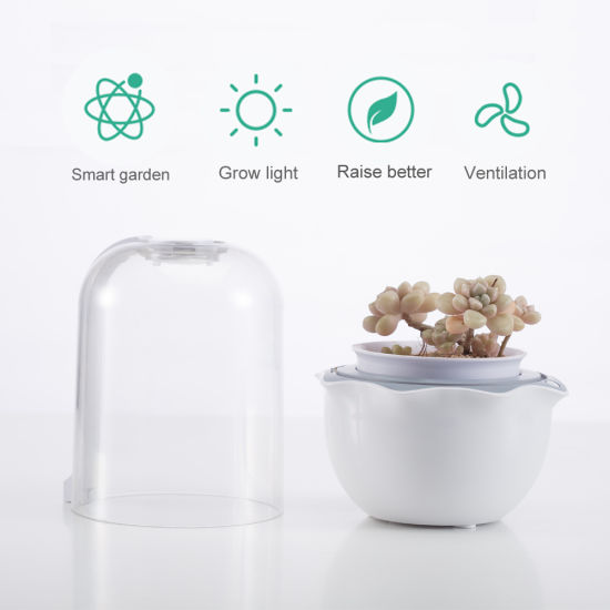 FS-MT6100